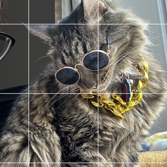 sophialorenf
